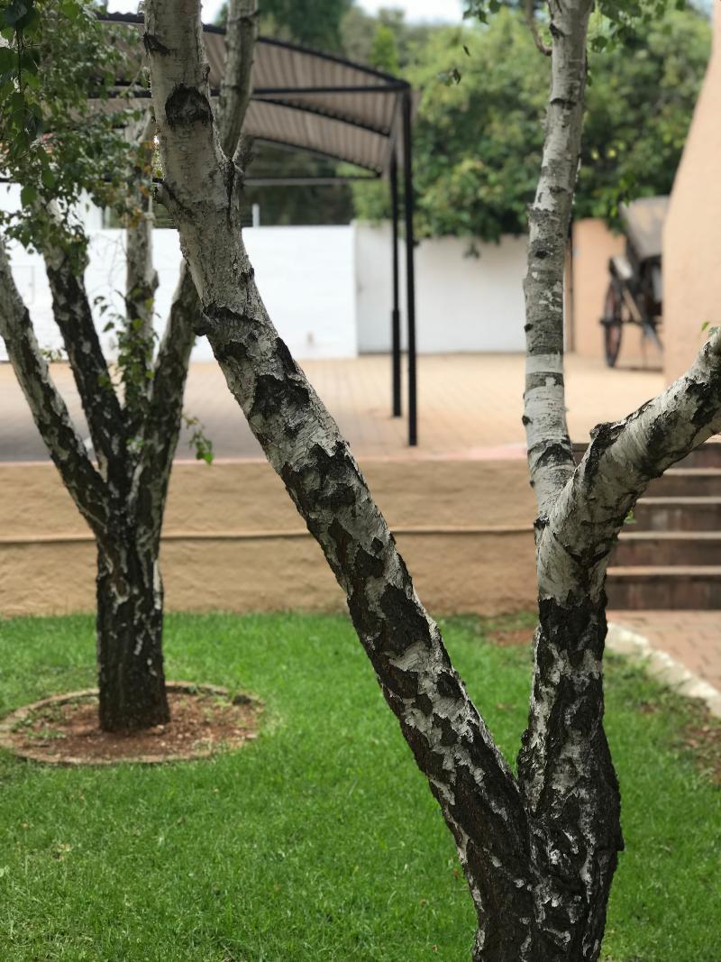 Glenalmond Hotel Sandton Kültér fotó
